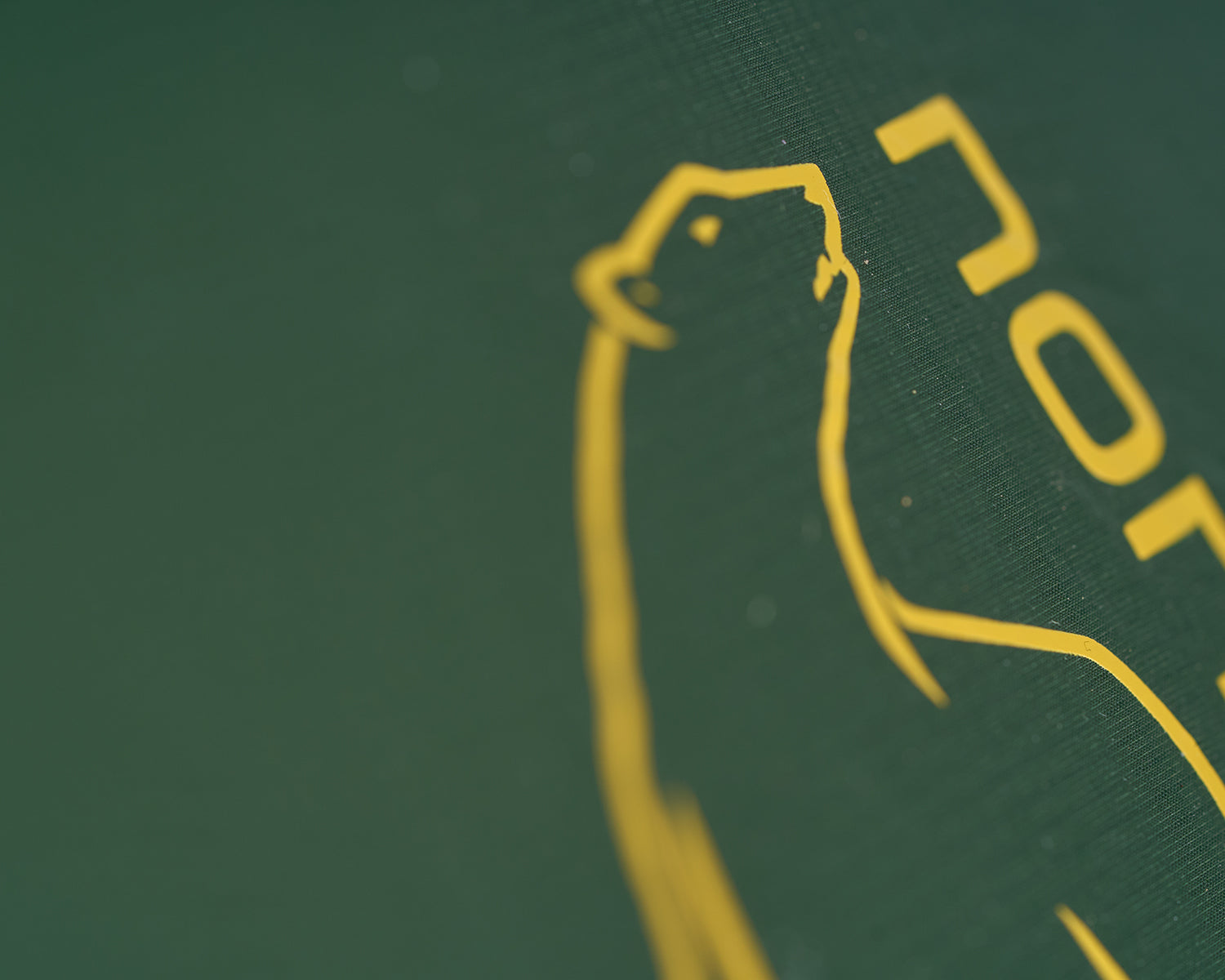 Telemark 2.2 LW (2.0) Tent - 2 person | Black Forest Green