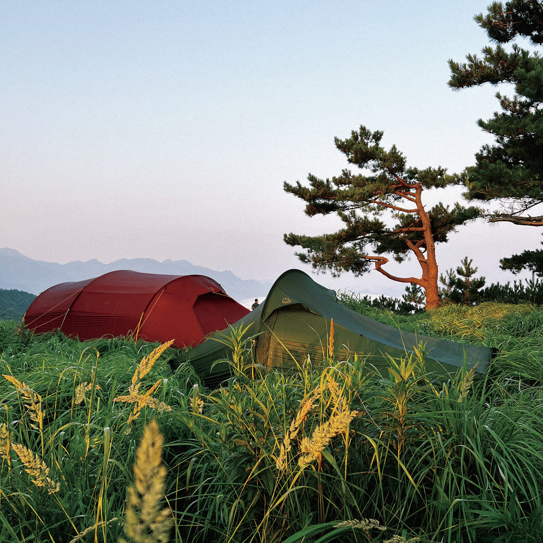 Telemark 1 LW (2.0) Tent - 1 person | Black Forest Green