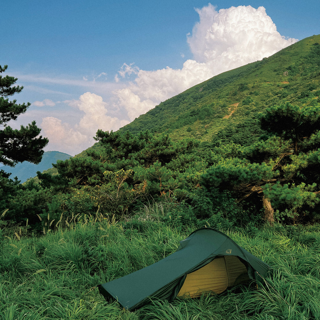 Telemark 2.2 LW (2.0) Tent - 2 person | Black Forest Green