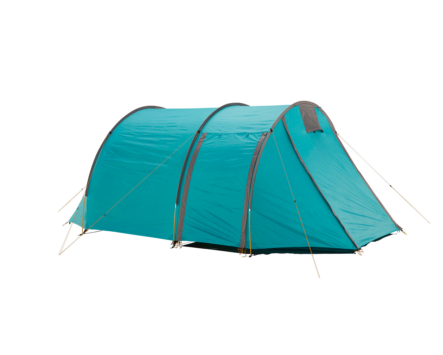 Robson 4 Tent - 4 person | Blue Grass