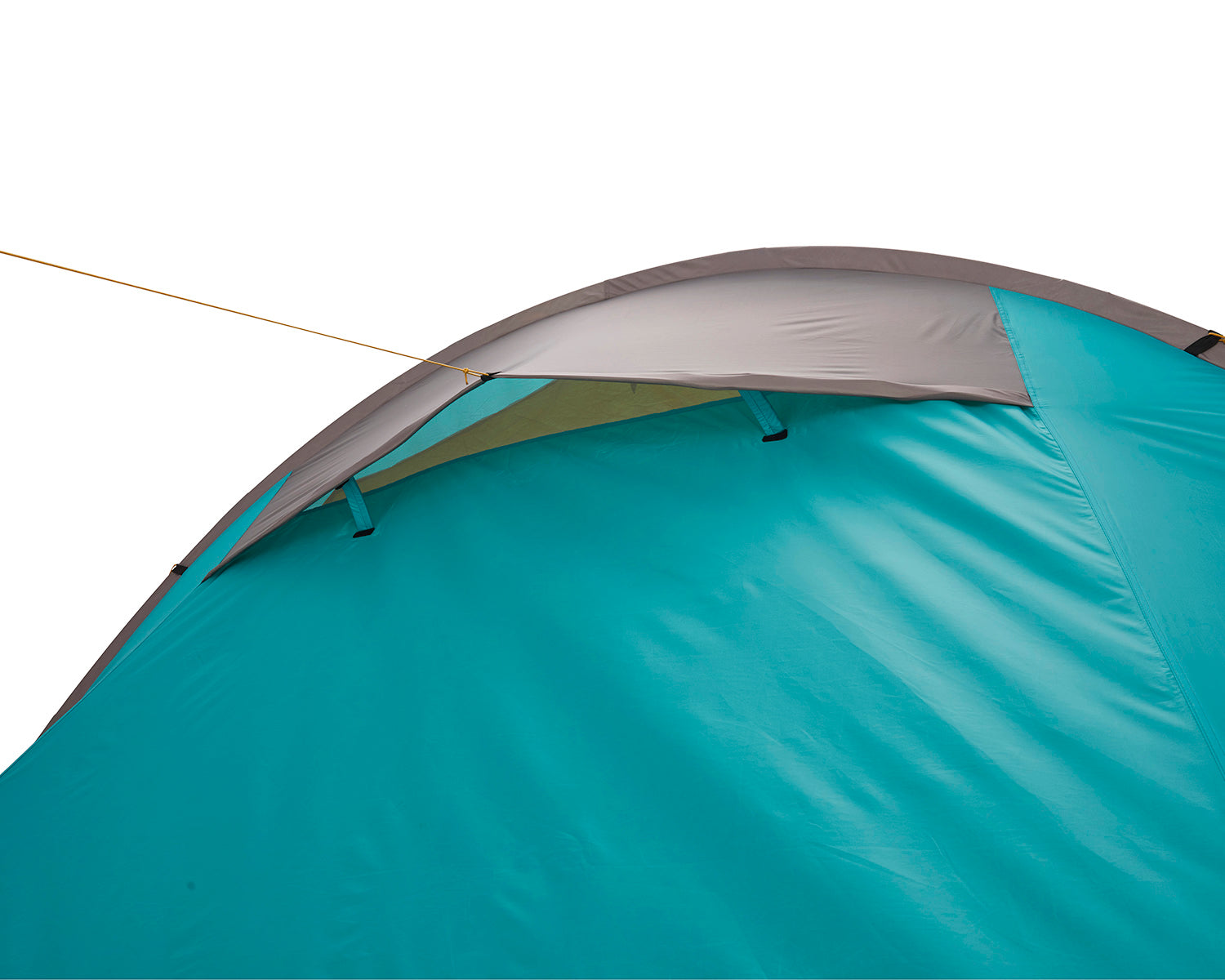 Robson 4 Tent - 4 person | Blue Grass
