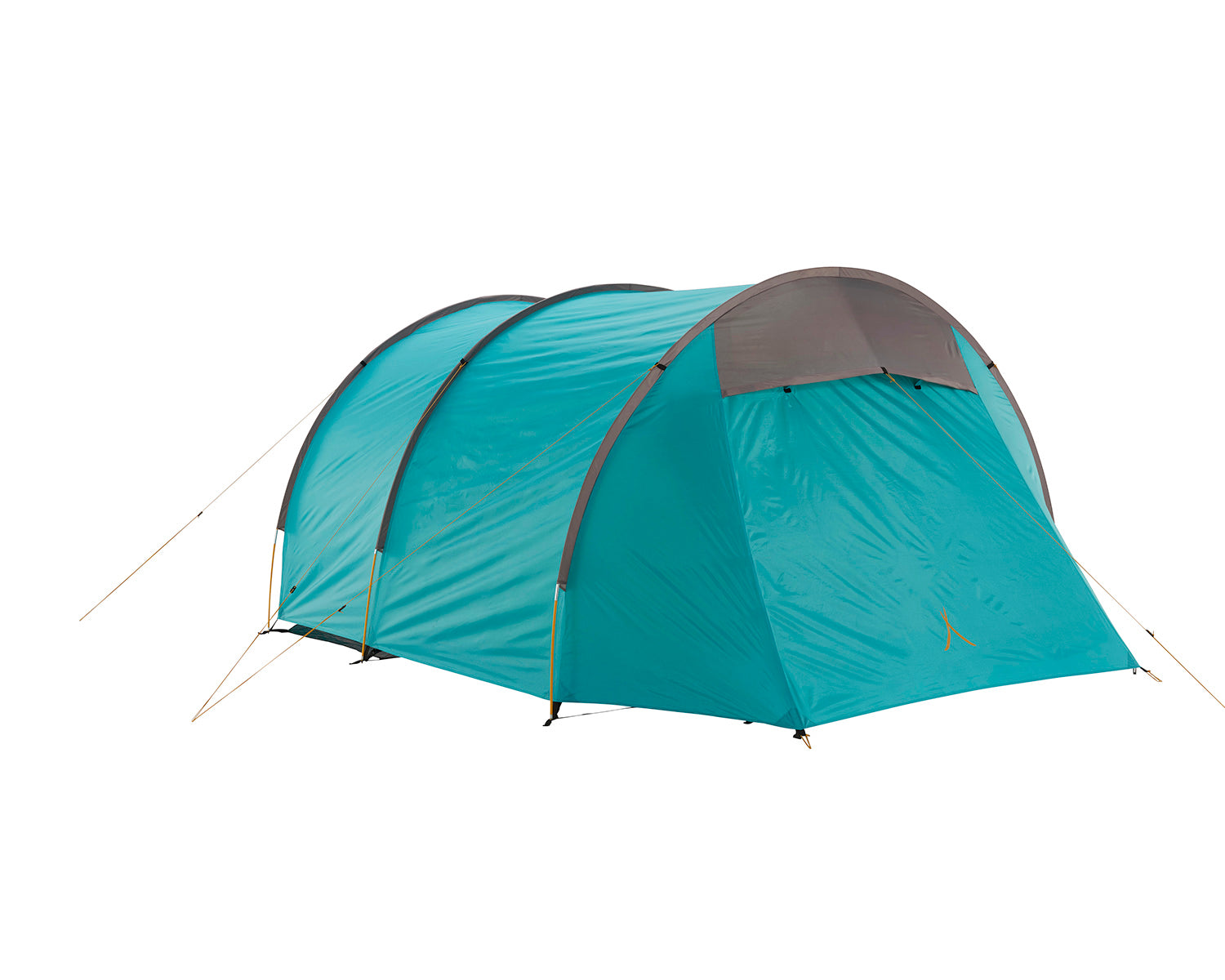 Robson 4 Tent - 4 person | Blue Grass