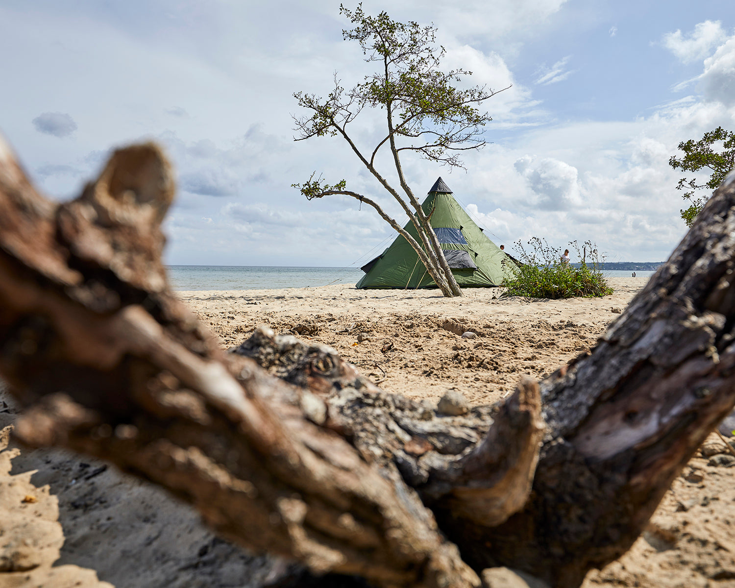 Black Falls 8 Tent - 8 person | Capulet Olive