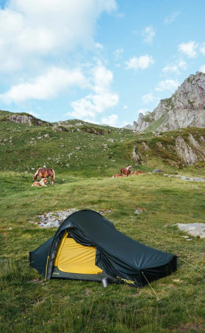 Black Nordisk Telemark 2 LW tent pitched in a mountain meadow with horses.