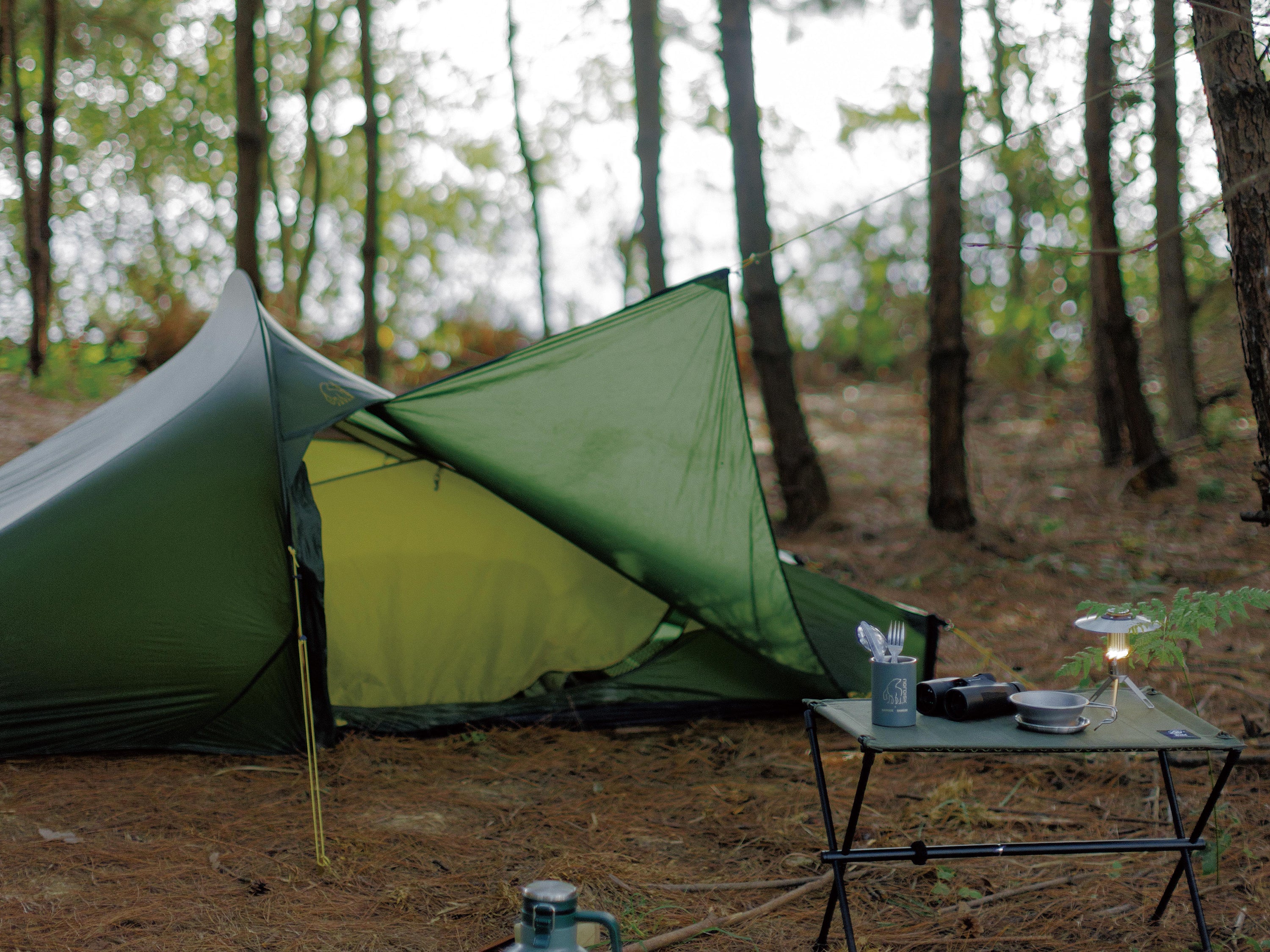 Telemark 2.2 LW Tent - 2 person | Forest Green