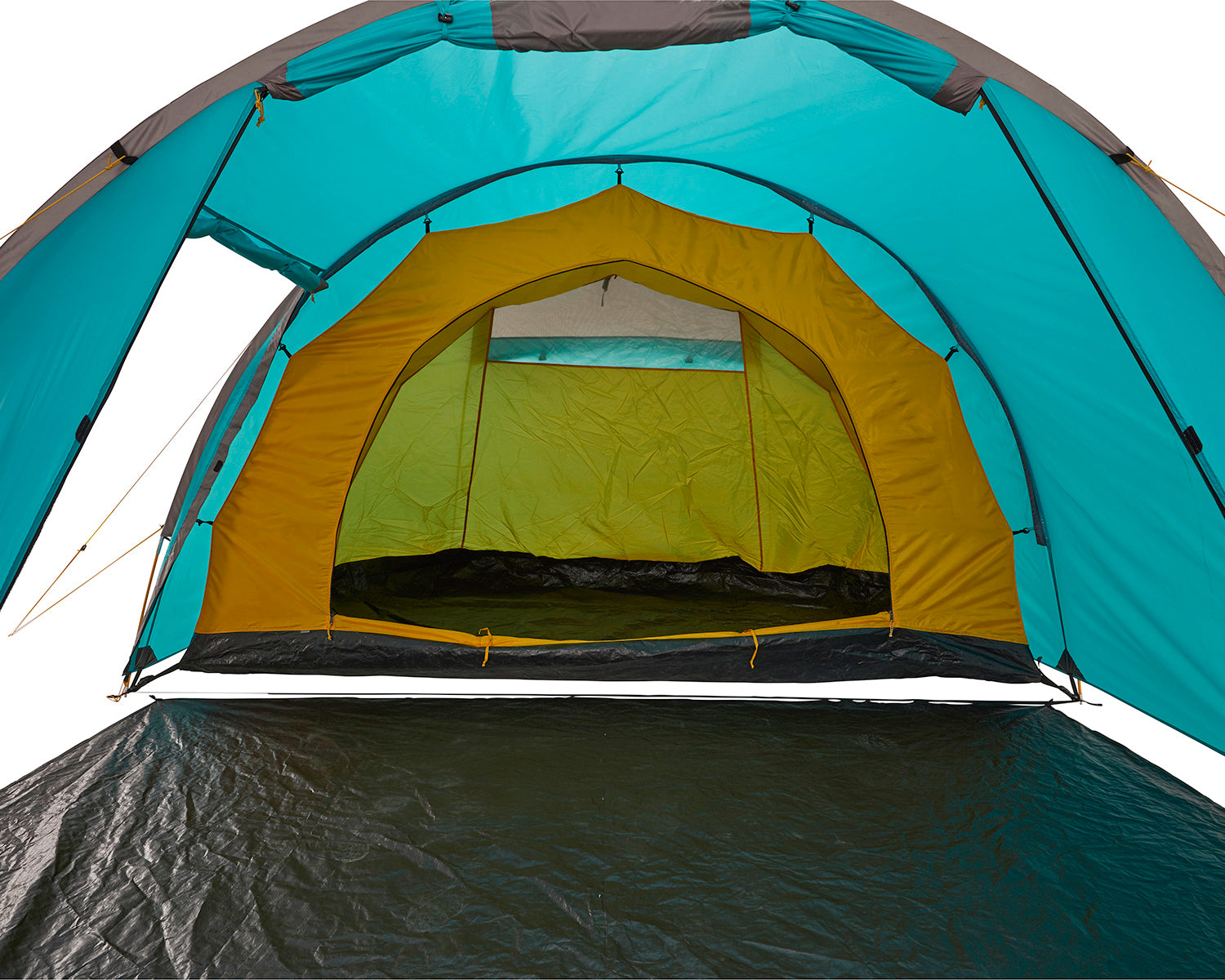 Robson 4 Tent - 4 person | Blue Grass