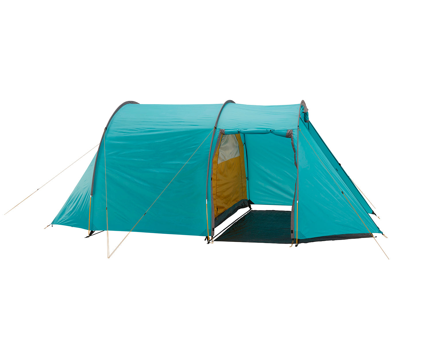 Robson 4 Tent - 4 person | Blue Grass