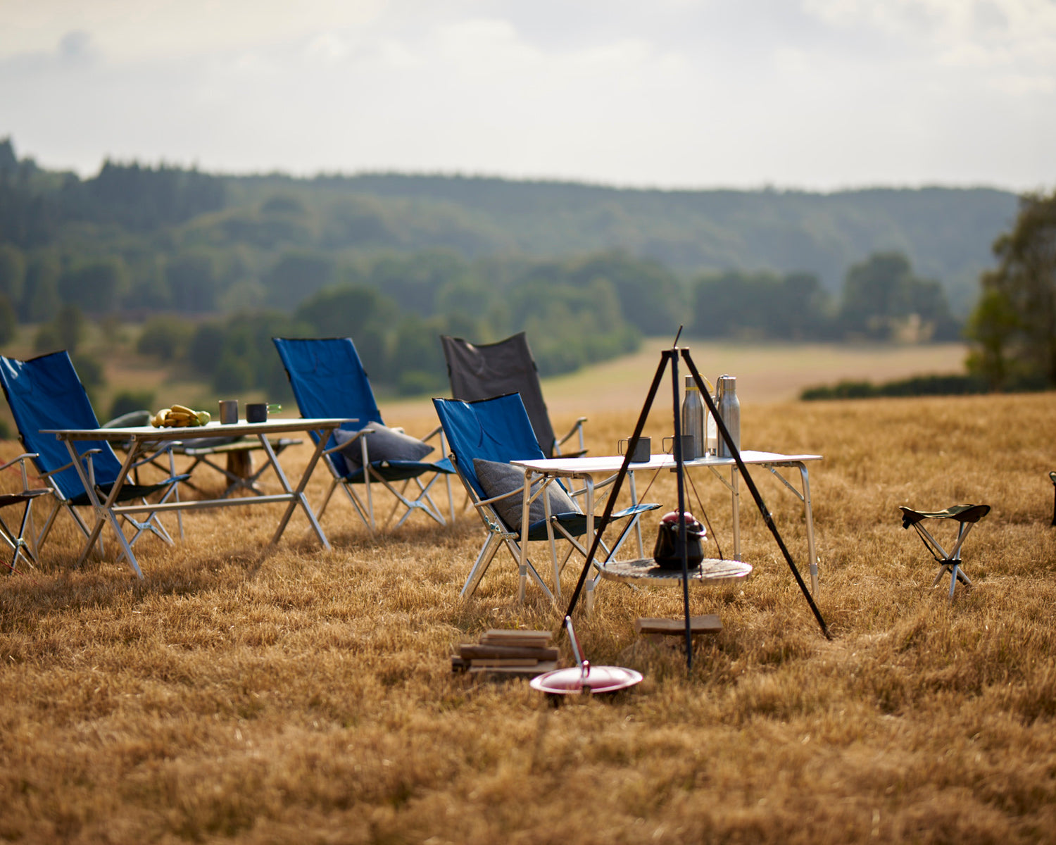 El Tovar Chair - Falcon Grey