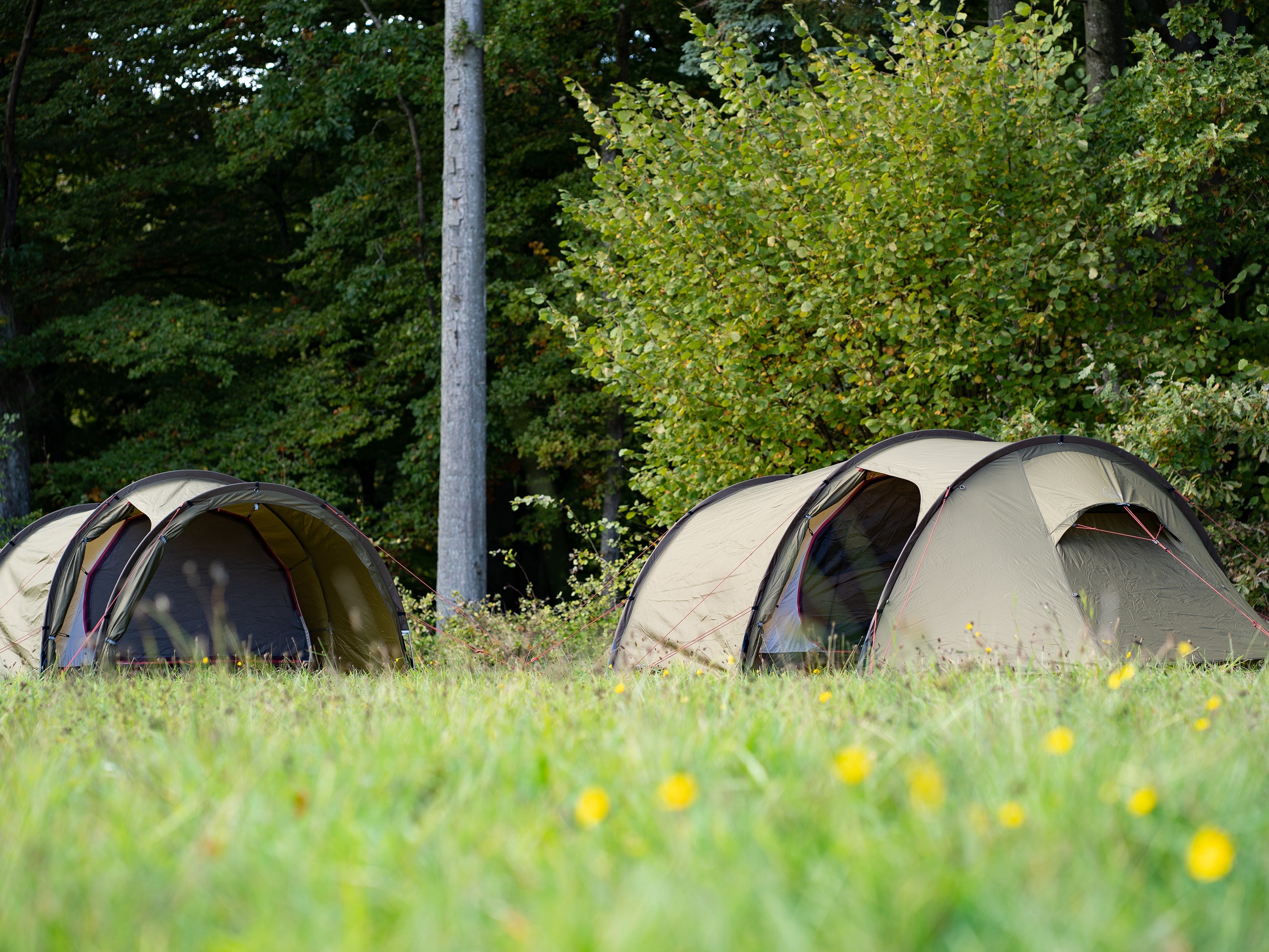 Oppland 3 PU (3.0) tent - Dark Olive